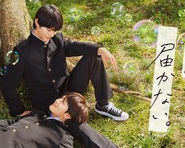 php网站开发优化方案